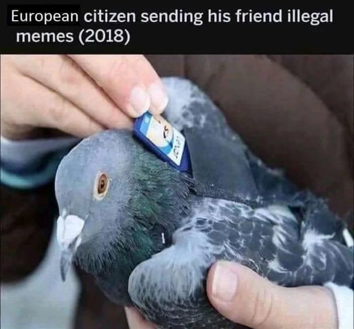 euillegalmemes.jpg